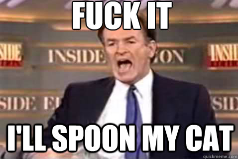 fuck it I'll spoon my cat - fuck it I'll spoon my cat  Fuck It Bill OReilly