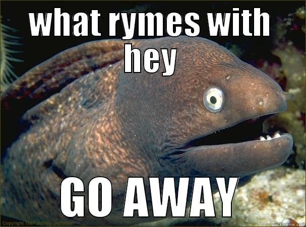 WHAT RYMES WITH HEY GO AWAY Bad Joke Eel