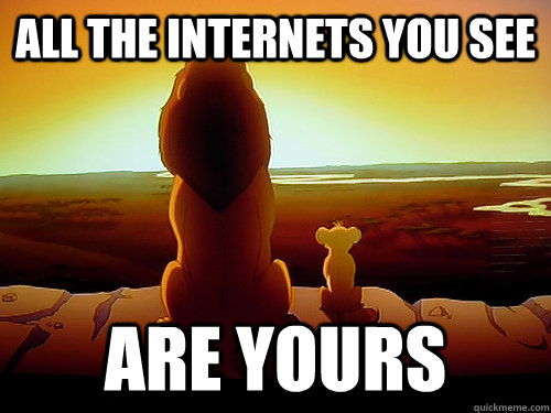 all the internets you see are yours  