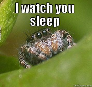 I WATCH YOU SLEEP  Misunderstood Spider