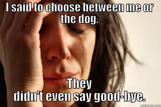 I SAID TO CHOOSE BETWEEN ME OR THE DOG. THEY DIDN'T EVEN SAY GOOD-BYE. First World Problems