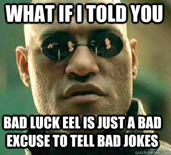 what if i told you Bad luck eel is just a bad excuse to tell bad jokes  Matrix Morpheus