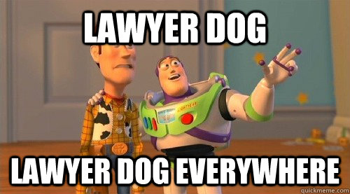 Lawyer Dog Lawyer Dog everywhere  Buzz Kill