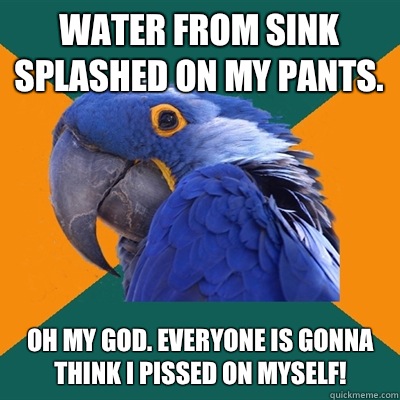 Water from sink splashed on my pants. Oh my GOD. Everyone is gonna think I PISSED on myself!  Paranoid Parrot