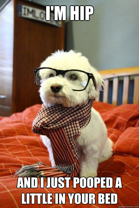 I'M HIP AND I JUST POOPED A LITTLE IN YOUR BED  Hipster Dog