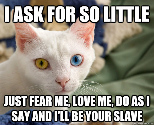Do as i say you little bitch or you will regret it 5
