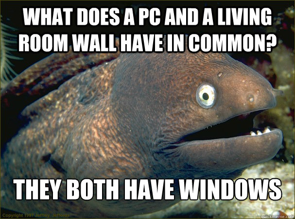 What does a PC and a living room wall have in common? They both have windows  Bad Joke Eel