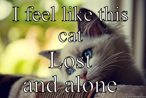 I FEEL LIKE THIS CAT LOST AND ALONE First World Problems Cat