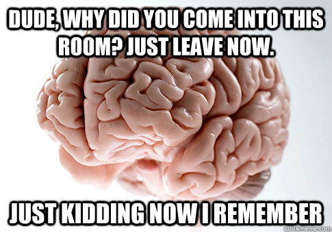 Dude, why did you come into this room? Just leave now. just kidding now i remember  Scumbag Brain