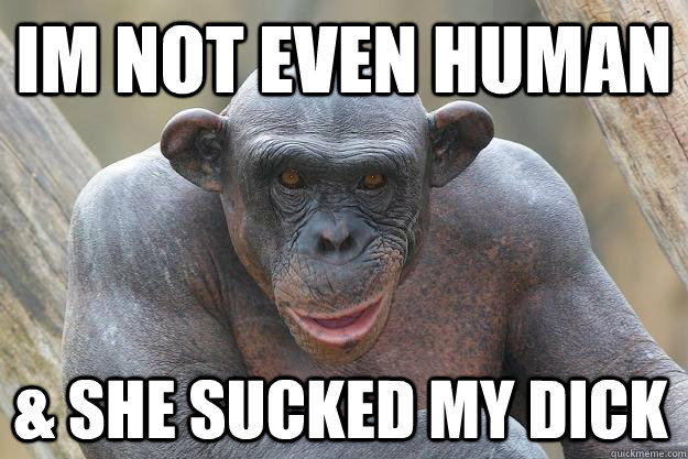 Im not even human & she sucked my dick  The Most Interesting Chimp In The World