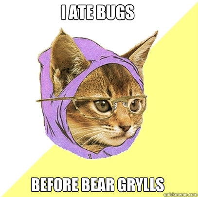 i ate bugs before bear grylls  Hipster Kitty