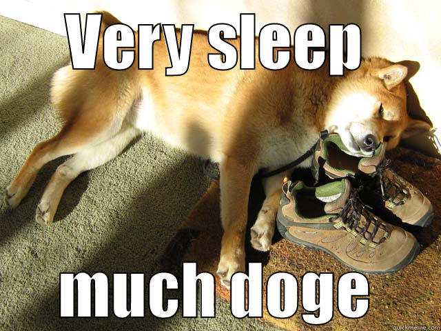 VERY SLEEP MUCH DOGE Misc