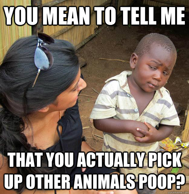 You mean to tell me that you actually pick up other animals poop? - You mean to tell me that you actually pick up other animals poop?  Skeptical Third World Kid