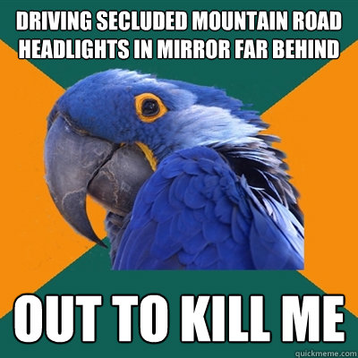 driving secluded mountain road headlights in mirror far behind out to kill me  Paranoid Parrot