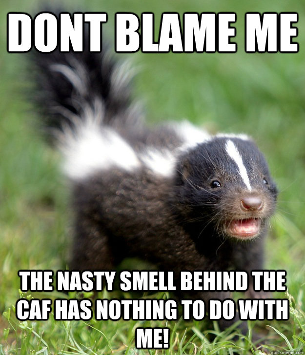 Dont blame me The nasty smell behind the caf has nothing to do with me!   Happy Skunk Baby