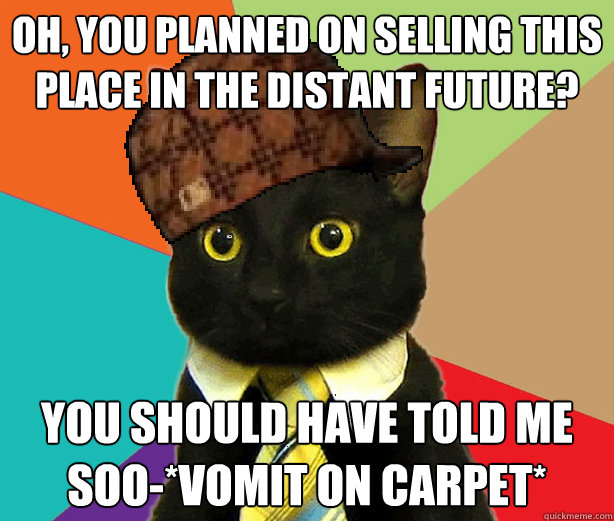 OH, you planned on selling this place in the distant future? You should have told me soo-*vomit on carpet*  Scumbag Cat