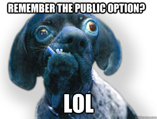 remember the public option? lol  Ugly Blue Dog