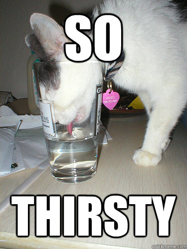 So Thirsty - So Thirsty  Misc