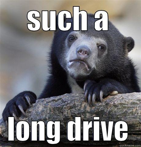 SUCH A LONG DRIVE Confession Bear