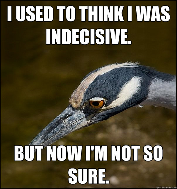 i used to think i was indecisive. but now i'm not so sure. - i used to think i was indecisive. but now i'm not so sure.  Sad Realization Heron