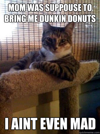 MOM was suppouse to bring me DUNKIN DONUTS I aint even mad  The Most Interesting Cat in the World