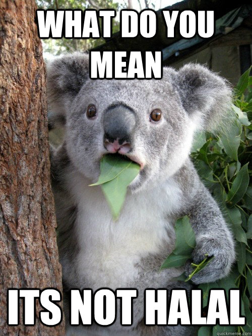 what do you mean its not halal - what do you mean its not halal  Amazed Koala