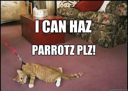 I can haz parrotz plz!   Cats are not dogs