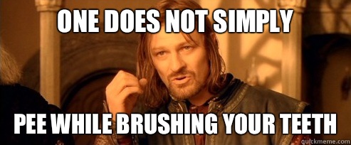 One does not simply Pee while brushing your teeth  One Does Not Simply