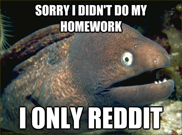 Sorry I didn't do my homework I only reddit - Sorry I didn't do my homework I only reddit  Bad Joke Eel