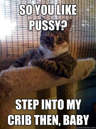 So you like pussy? Step into my crib then, baby  The Most Interesting Cat in the World