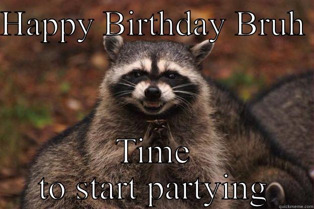 Birthday plan - HAPPY BIRTHDAY BRUH  TIME TO START PARTYING Evil Plotting Raccoon