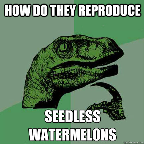How do they reproduce  Seedless watermelons   Philosoraptor