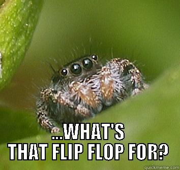 What's the flip flop for? -  ...WHAT'S THAT FLIP FLOP FOR? Misunderstood Spider