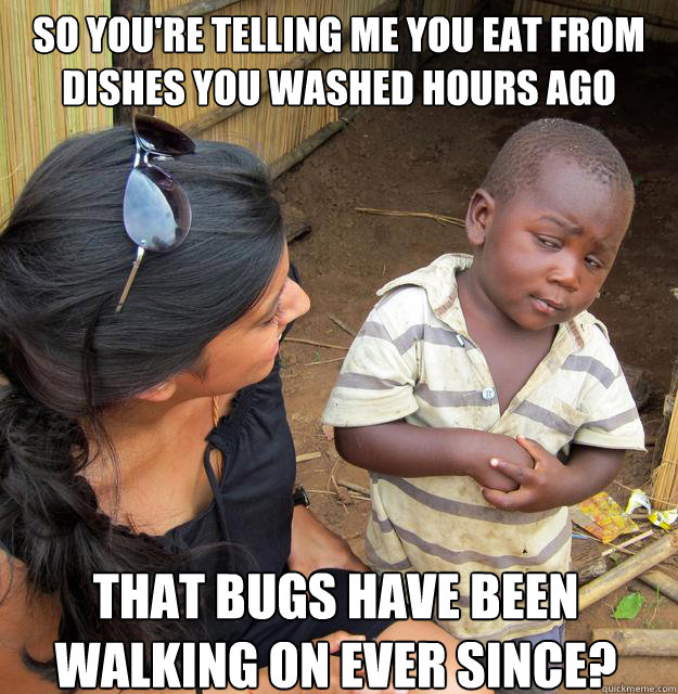 so You're telling me you eat from dishes you washed hours ago that bugs have been walking on ever since? Caption 3 goes here  Skeptical African Kid
