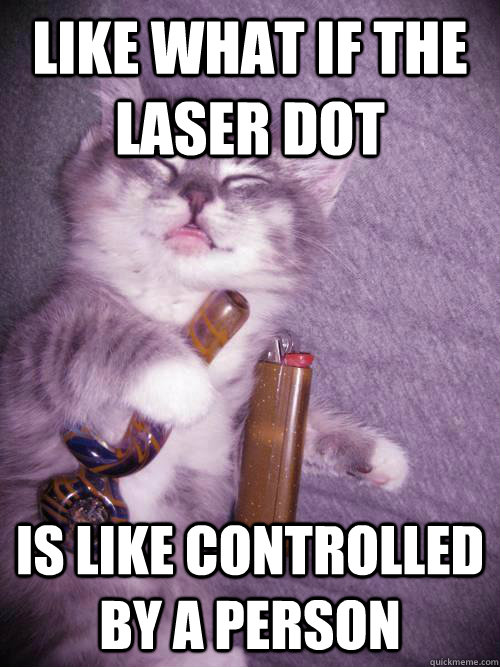 like what if the laser dot is like controlled by a person - like what if the laser dot is like controlled by a person  Misc