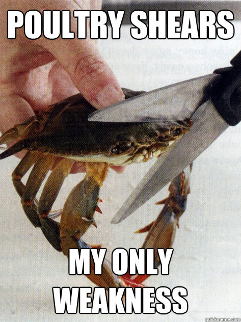 Poultry Shears My Only Weakness - Poultry Shears My Only Weakness  Optimistic Crab