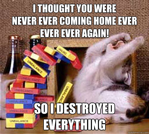 I THOUGHT YOU WERE
NEVER EVER COMING HOME EVER EVER EVER AGAIN! SO I DESTROYED EVERYTHING  Jenga Cat