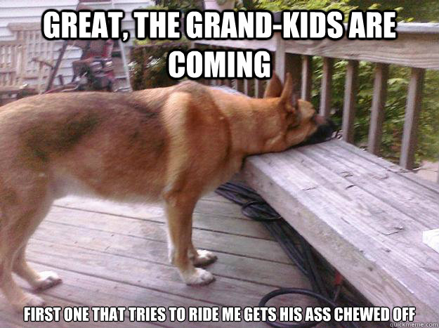 Great, The grand-kids are coming first one that tries to ride me gets his ass chewed off - Great, The grand-kids are coming first one that tries to ride me gets his ass chewed off  First World Dog problems