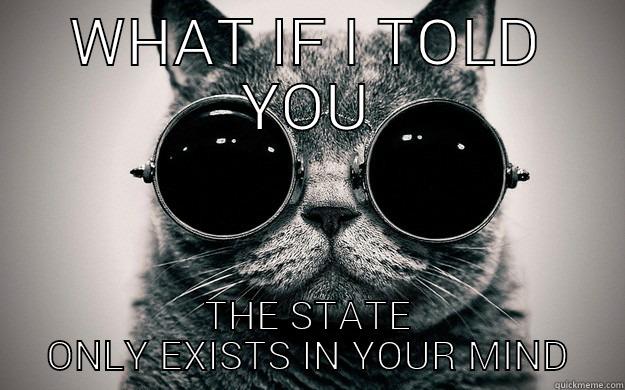 anarcho kitty - WHAT IF I TOLD YOU THE STATE ONLY EXISTS IN YOUR MIND Morpheus Cat Facts