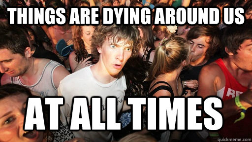 Things are dying around us at all times  Sudden Clarity Clarence
