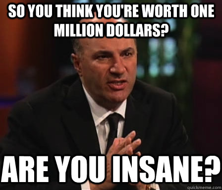 so you think you're worth one million dollars? are you insane?  