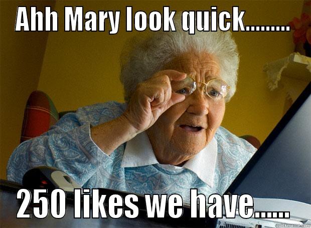 AHH MARY LOOK QUICK......... 250 LIKES WE HAVE...... Grandma finds the Internet