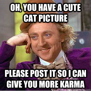 Oh, you have a cute cat picture Please post it so I can give you more Karma  Condescending Wonka