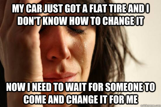 my car just got a flat tire and i don't know how to change it now i need to wait for someone to come and change it for me  First World Problems