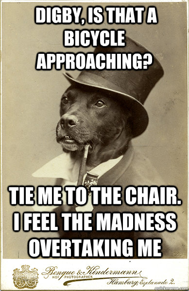  DIGBY, IS THAT A BICYCLE APPROACHING? TIE ME TO THE CHAIR. I FEEL THE MADNESS OVERTAKING ME  Old Money Dog