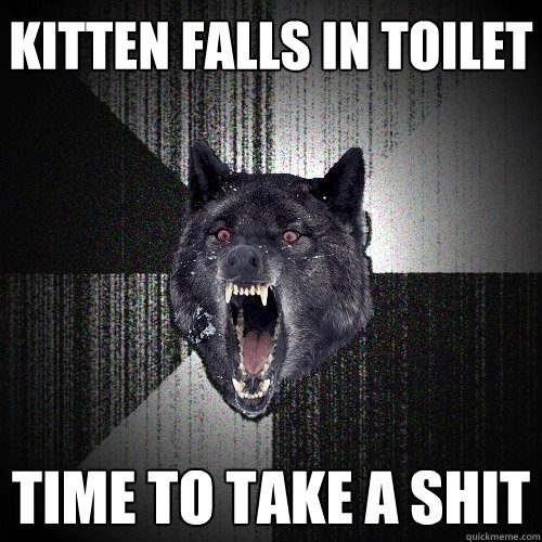 Kitten falls in toilet TIME TO TAKE A SHIT  Insanity Wolf