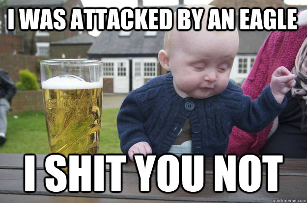 i was attacked by an eagle i shit you not  drunk baby