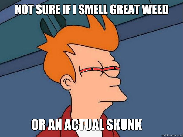 Not sure if i smell great weed  Or an actual skunk - Not sure if i smell great weed  Or an actual skunk  High Fry