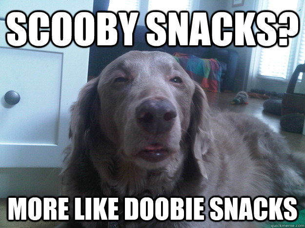 scooby snacks? more like doobie snacks - scooby snacks? more like doobie snacks  10 Dog