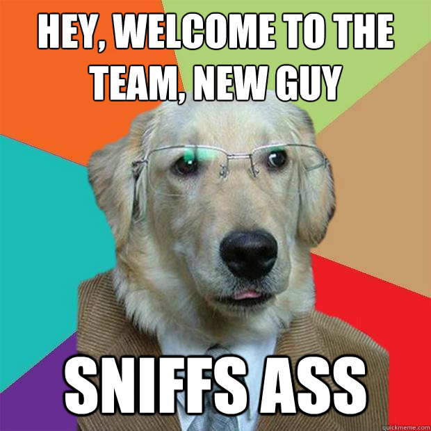hey, welcome to the team, new guy sniffs ass  Business Dog